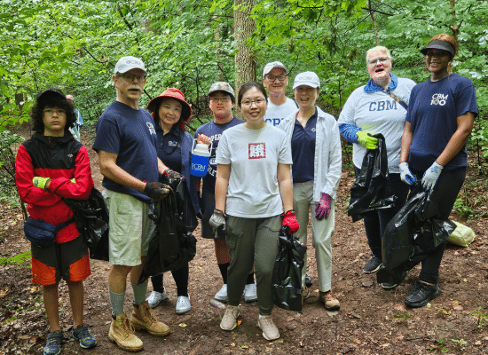 CBM Works with Rock Creek Conservancy to Clear Invasive Plants from Trees in Rock Creek Park