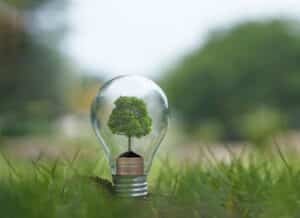 Light bulb with a tree growing in it to symbolize Clean Energy for Maryland Energy Weekend